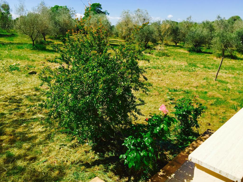 Country House Maremma Nel Tufo Pitigliano Exterior foto